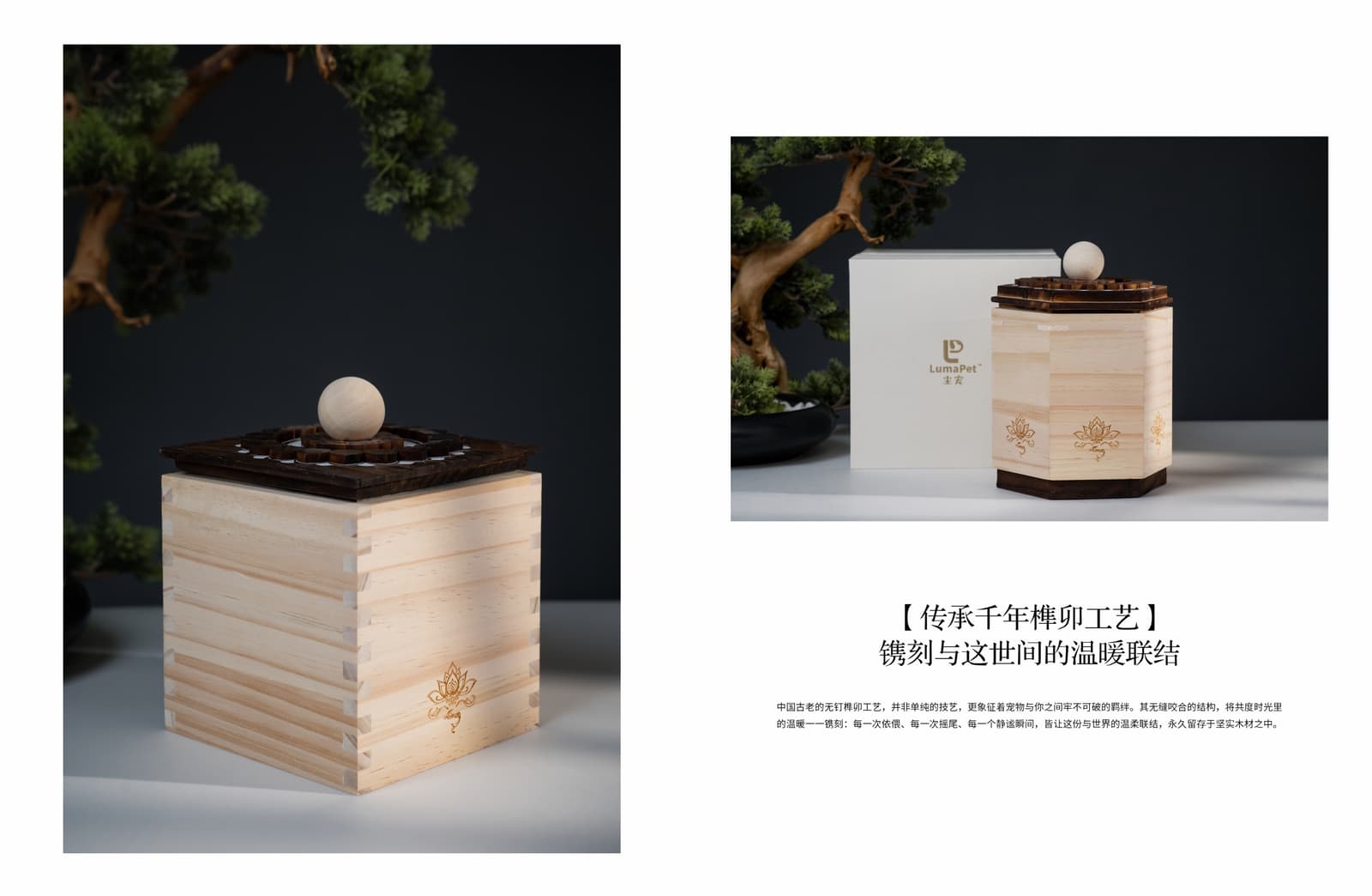 LumaPet Memorial Box